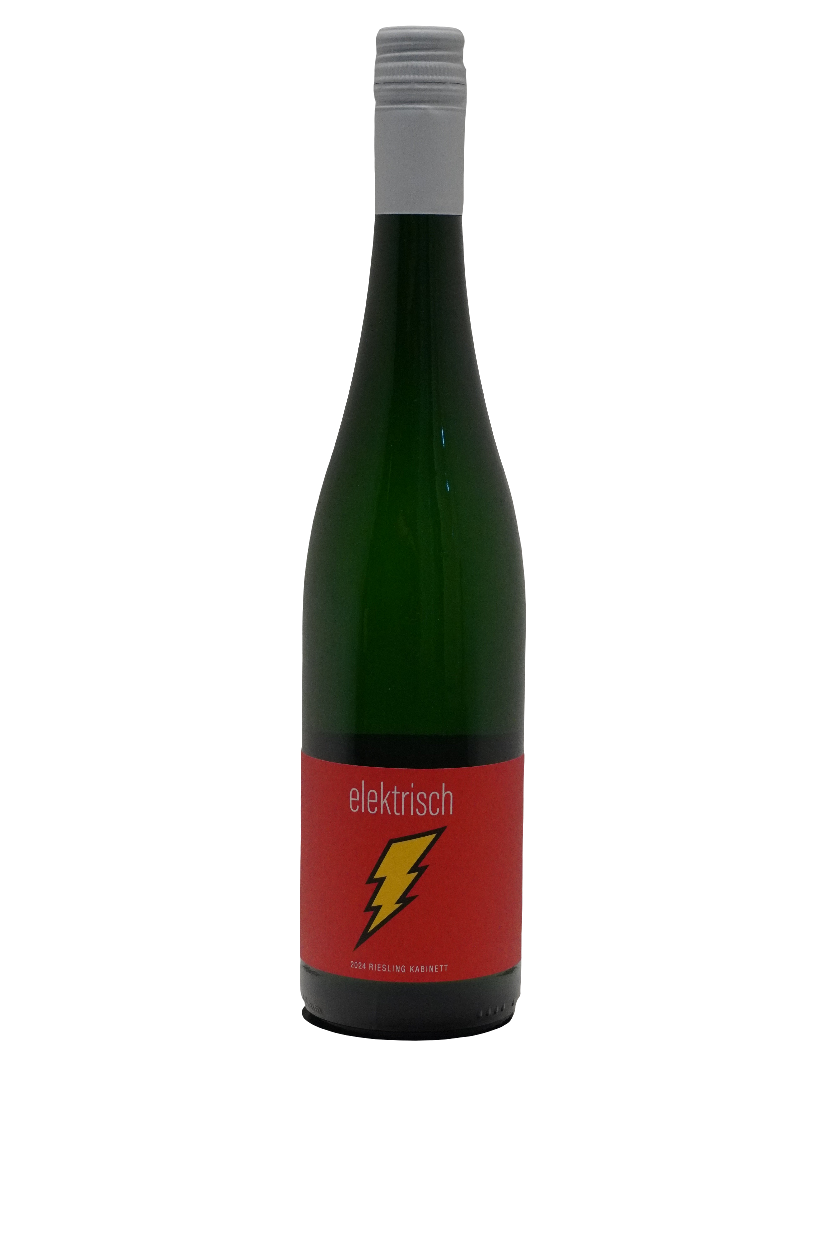 Seehof Riesling Kabinett Elektrisch 2025