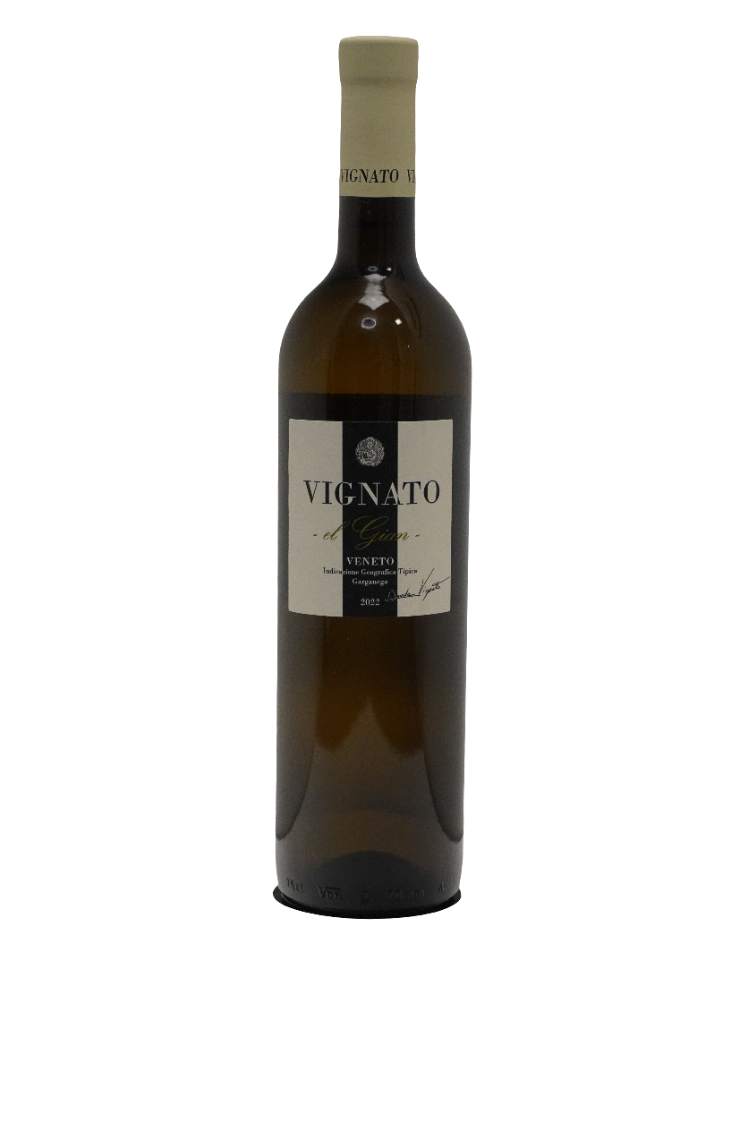 Davide Vignato Veneto Garganega 2024