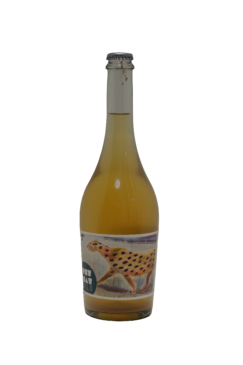 Echeverria Wild Pet-Nat 2022