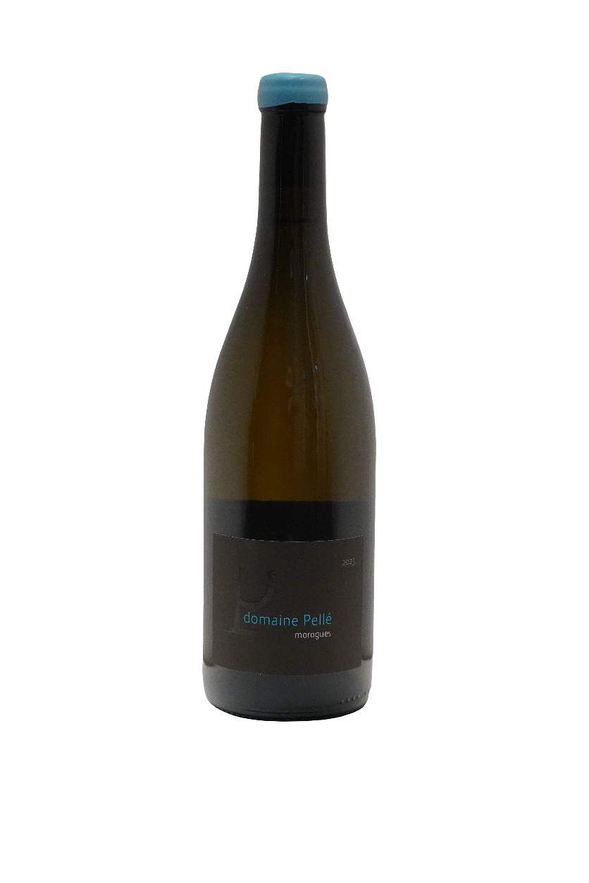 Domaine Pelle Menetou-Salon Morogues Blanc 2023