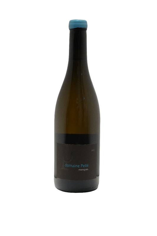 Domaine Pelle Menetou-Salon Morogues Blanc 2023