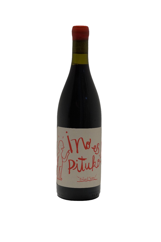 Echeverria No Es Pituko Cabernet Sauvignon 2022